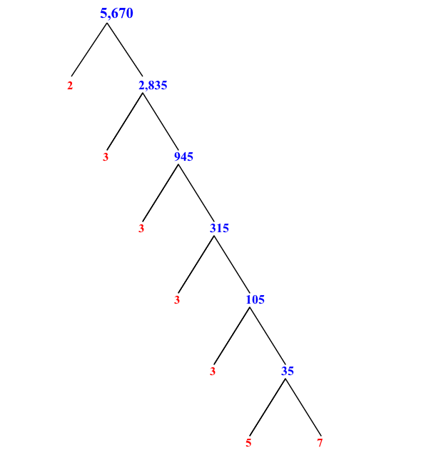 prime-factorization-of-5-670-with-a-factor-tree-mathondemand